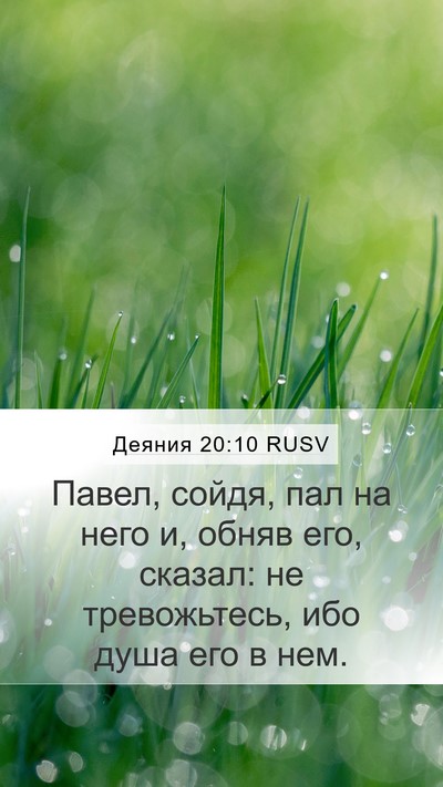 Деяния 20:10 RUSV Bible Verse Image