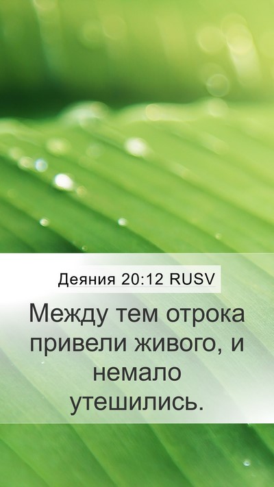Деяния 20:12 RUSV Bible Verse Image