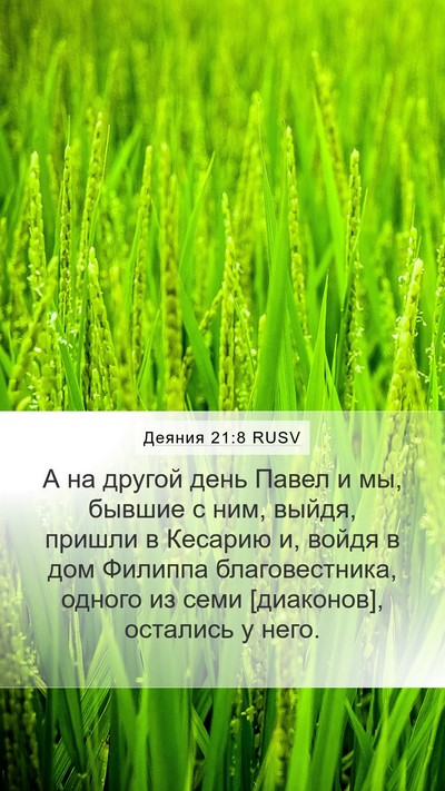 Деяния 21:8 RUSV Bible Verse Image