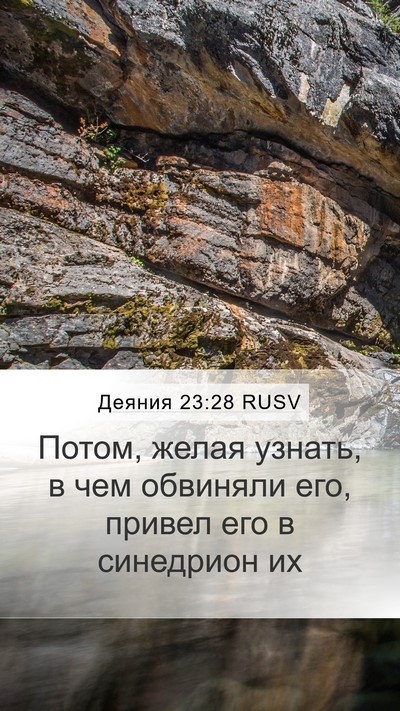 Деяния 23:28 RUSV Bible Verse Image