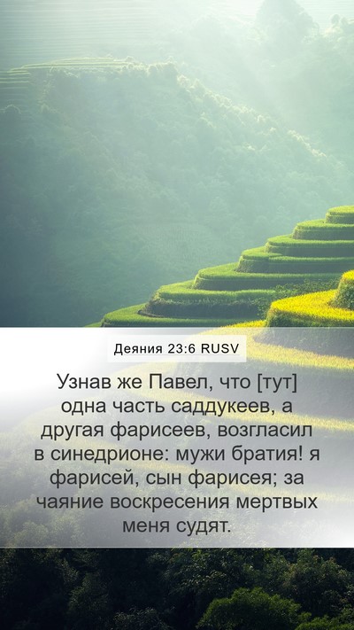 Деяния 23:6 RUSV Bible Verse Image