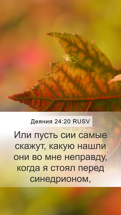 Деяния 24:20 RUSV Bible Verse Image