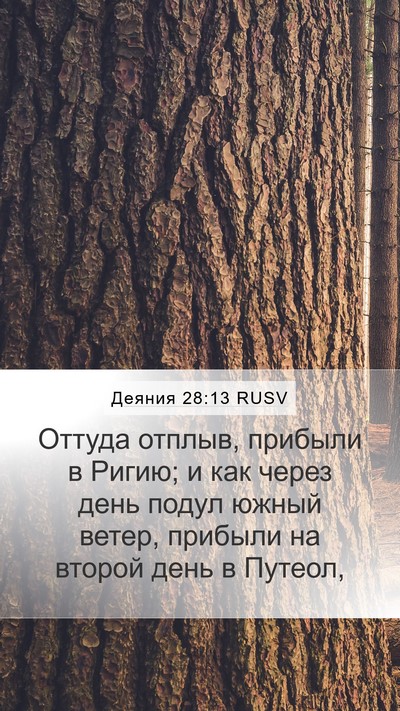 Деяния 28:13 RUSV Mobile Phone Wallpaper - Оттуда отплыв, прибыли в - Mobile Bible Verse Wallpaper