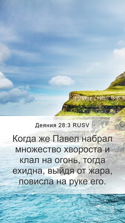 Деяния 28:3 RUSV Bible Verse Image
