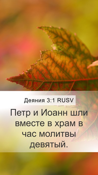 Деяния 3:1 RUSV Bible Verse Image