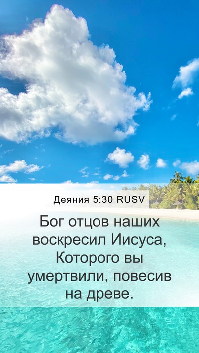 Деяния 5:30 RUSV Bible Verse Image