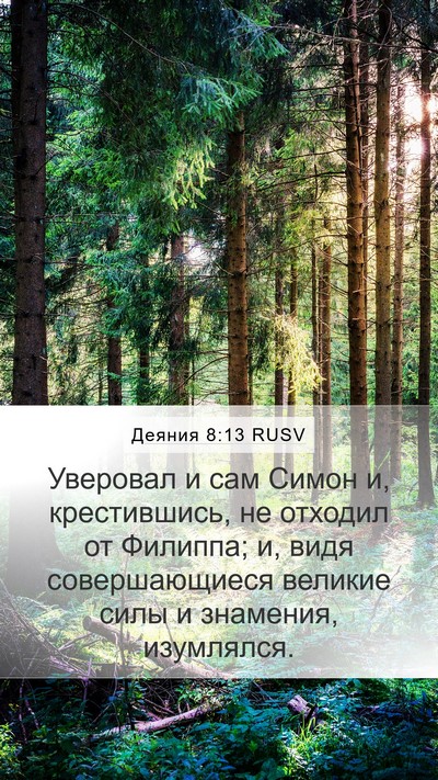 Деяния 8:13 RUSV Bible Verse Image