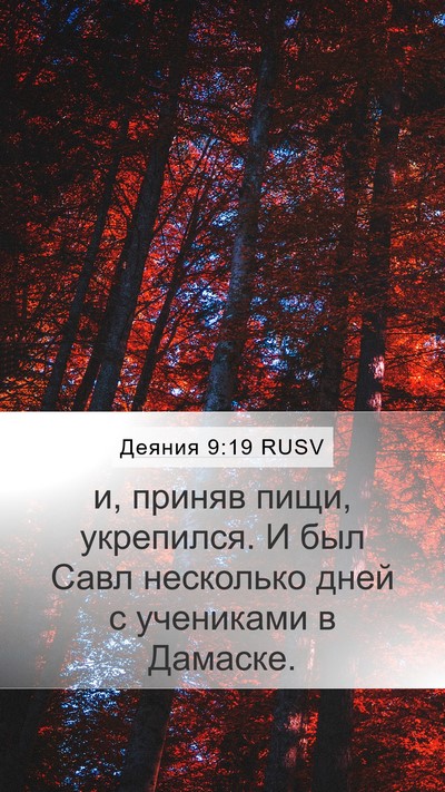 Деяния 9:19 RUSV Bible Verse Image