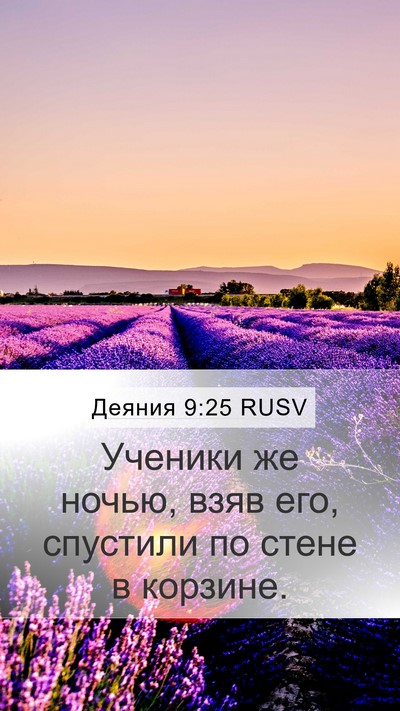 Деяния 9:25 RUSV Bible Verse Image