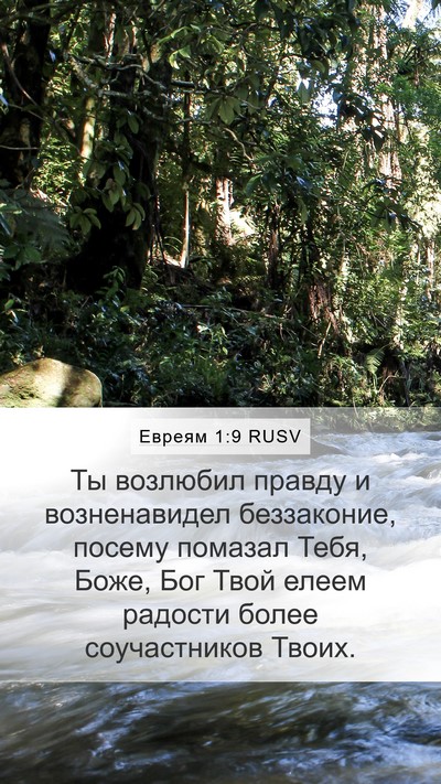 Евреям 1:9 RUSV Bible Verse Image
