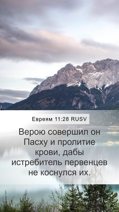 Евреям 11:28 RUSV Bible Verse Image