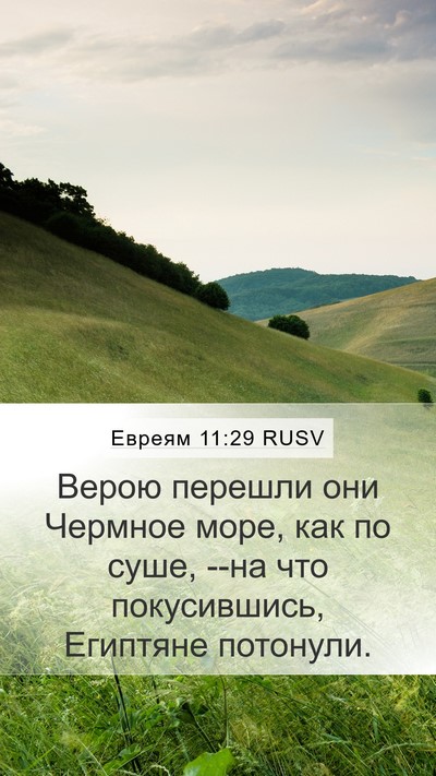 Евреям 11:29 RUSV Bible Verse Image