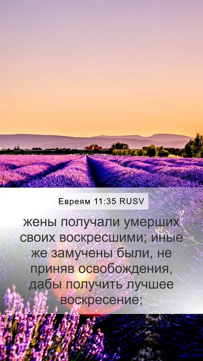 Евреям 11:35 RUSV Bible Verse Image