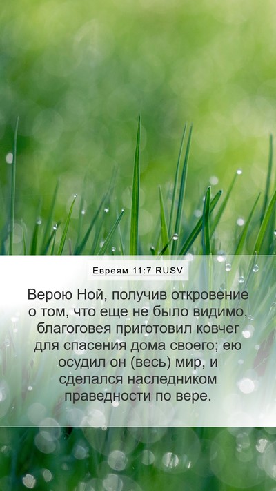 Евреям 11:7 RUSV Bible Verse Image