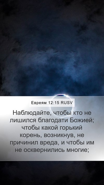Евреям 12:15 RUSV Bible Verse Image