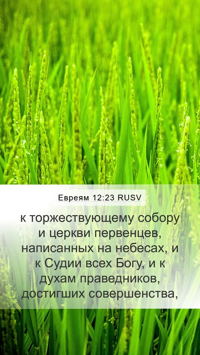 Евреям 12:23 RUSV Bible Verse Image