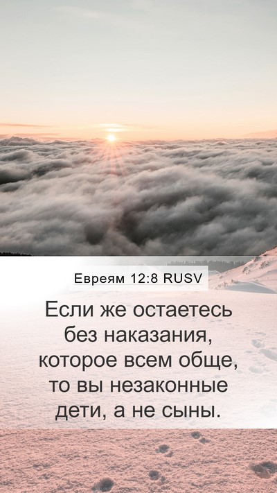 Евреям 12:8 RUSV Bible Verse Image