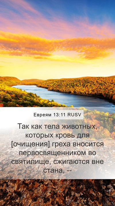 Евреям 13:11 RUSV Bible Verse Image