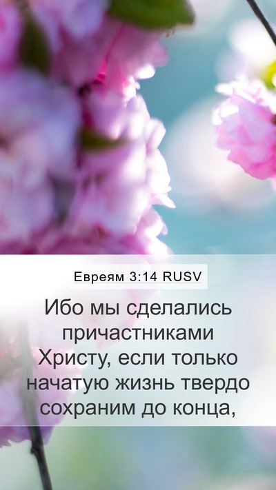 Евреям 3:14 RUSV Bible Verse Image