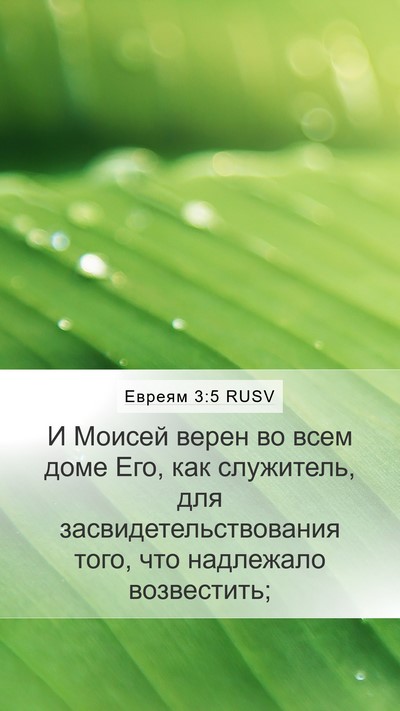 Евреям 3:5 RUSV Bible Verse Image