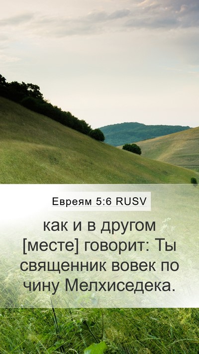 Евреям 5:6 RUSV Bible Verse Image