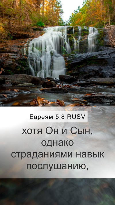 Евреям 5:8 RUSV Bible Verse Image