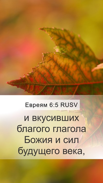 Евреям 6:5 RUSV Bible Verse Image