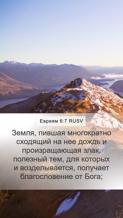 Евреям 6:7 RUSV Bible Verse Image