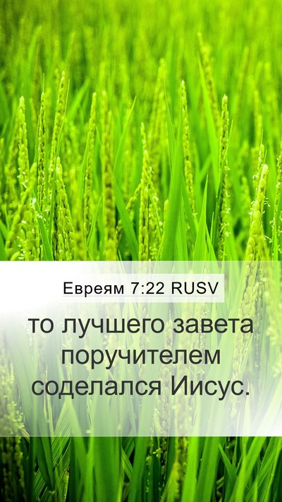 Евреям 7:22 RUSV Bible Verse Image