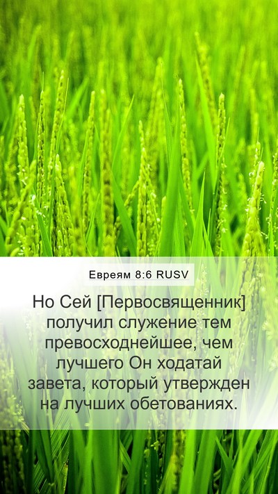 Евреям 8:6 RUSV Bible Verse Image