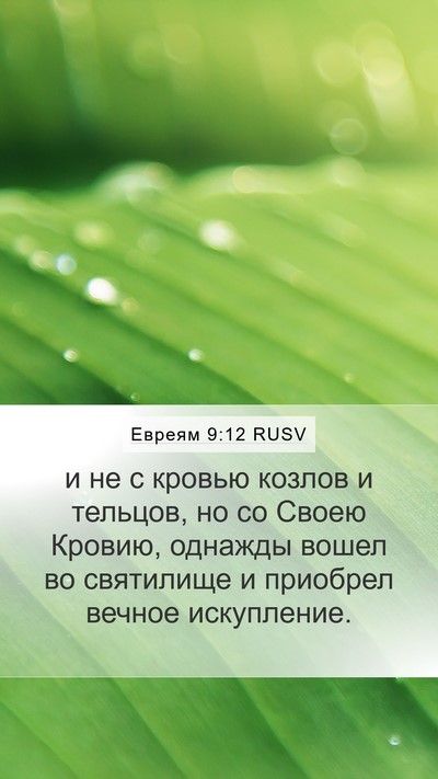 Евреям 9:12 RUSV Bible Verse Image