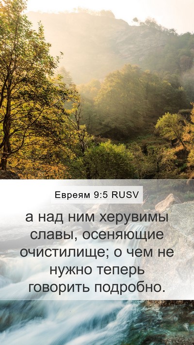 Евреям 9:5 RUSV Bible Verse Image
