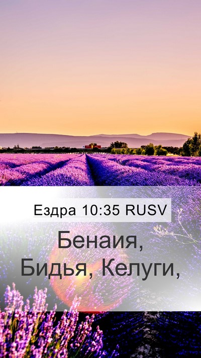 Ездра 10:35 RUSV Mobile Phone Wallpaper - Бенаия, Бидья, - Mobile Bible Verse Wallpaper