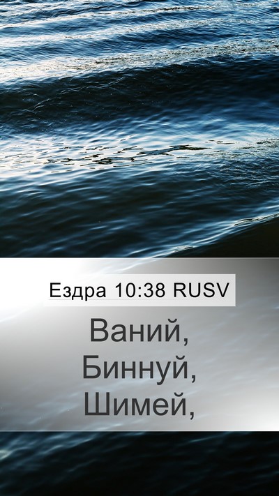 Ездра 10:38 RUSV Mobile Phone Wallpaper - Ваний, Биннуй, - Mobile Bible Verse Wallpaper