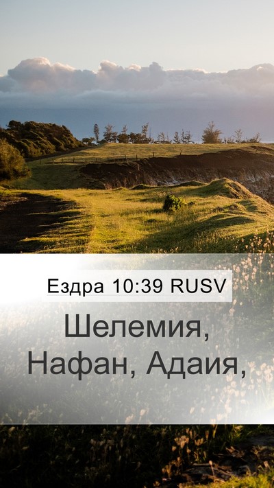 Ездра 10:39 RUSV Mobile Phone Wallpaper - Шелемия, Нафан, - Mobile Bible Verse Wallpaper