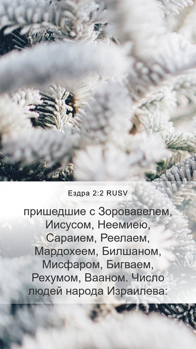 Ездра 2:2 RUSV Bible Verse Image
