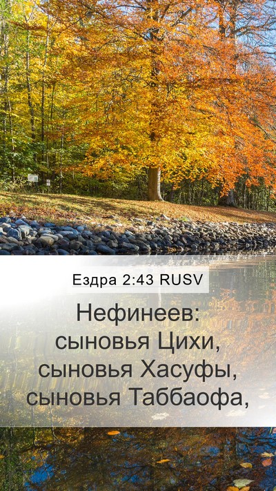 Ездра 2:43 RUSV Mobile Phone Wallpaper - Нефинеев: сыновья Цихи, - Mobile Bible Verse Wallpaper