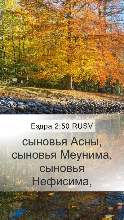 Ездра 2:50 RUSV Bible Verse Image