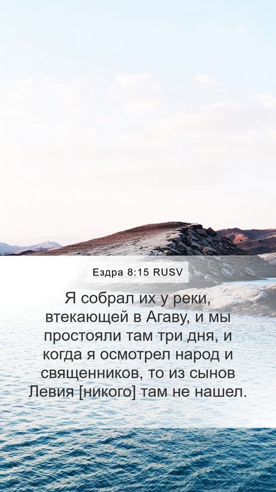 Ездра 8:15 RUSV Bible Verse Image
