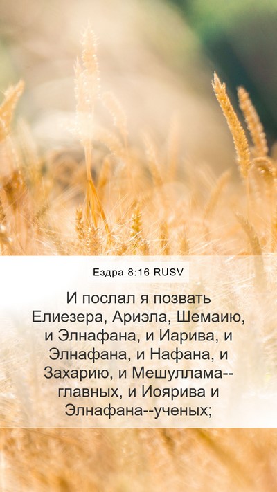 Ездра 8:16 RUSV Bible Verse Image