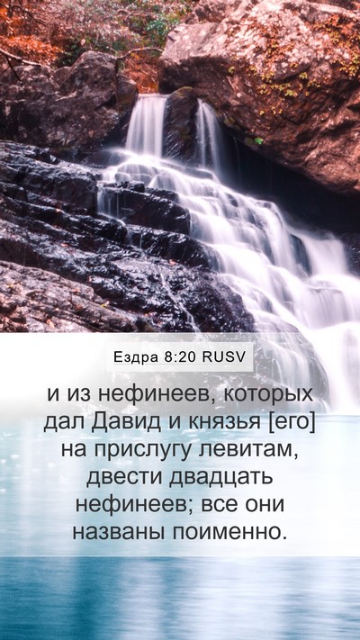 Ездра 8:20 RUSV Bible Verse Image