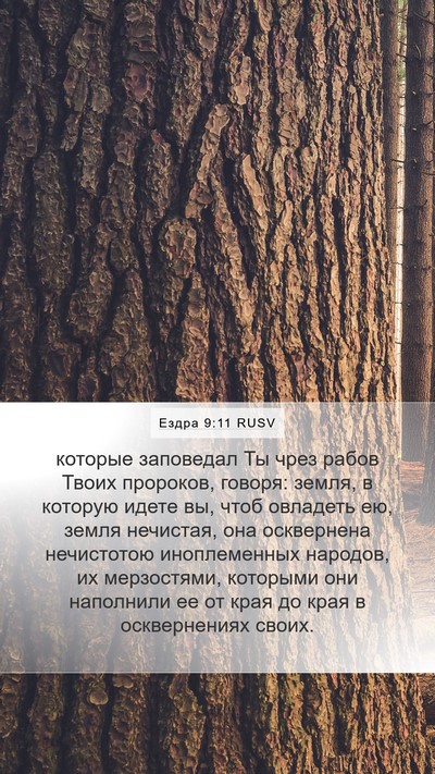 Ездра 9:11 RUSV Bible Verse Image