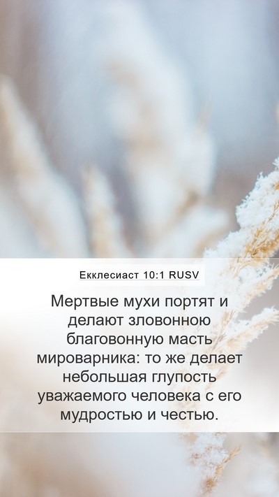 Екклесиаст 10:1 RUSV Bible Verse Image