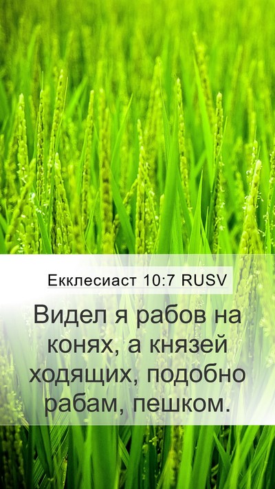 Екклесиаст 10:7 RUSV Mobile Phone Wallpaper - Видел я рабов на конях, а - Mobile Bible Verse Wallpaper