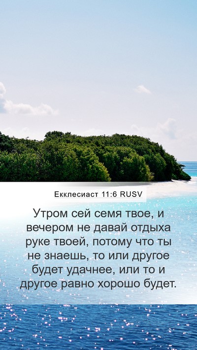Екклесиаст 11:6 RUSV Bible Verse Image