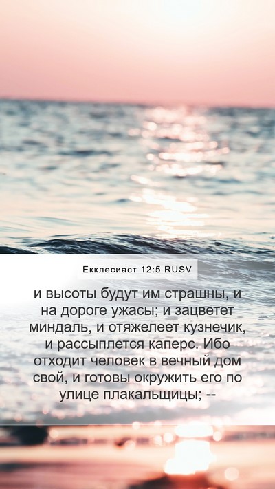 Екклесиаст 12:5 RUSV Bible Verse Image