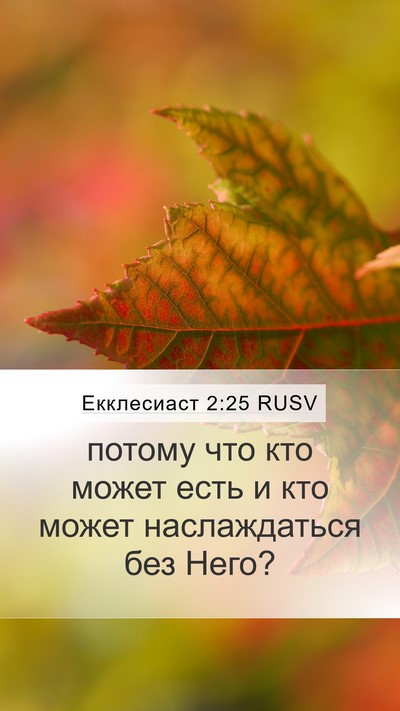 Екклесиаст 2:25 RUSV Mobile Phone Wallpaper - потому что кто может есть и - Mobile Bible Verse Wallpaper