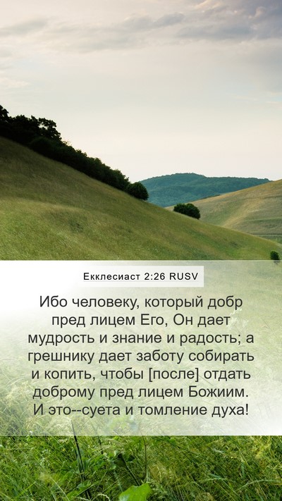 Екклесиаст 2:26 RUSV Bible Verse Image