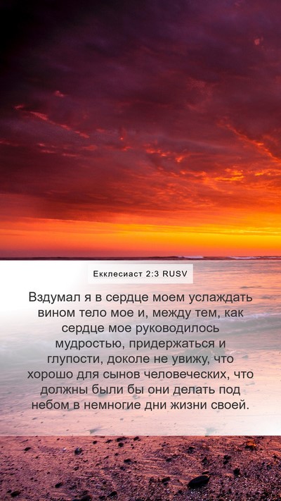 Екклесиаст 2:3 RUSV Bible Verse Image
