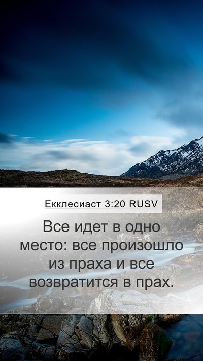 Екклесиаст 3:20 RUSV Bible Verse Image